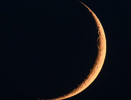 Luna nueva en Tauro